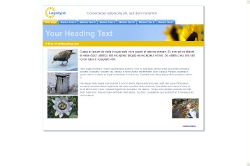 website package 26
