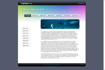 website package 32