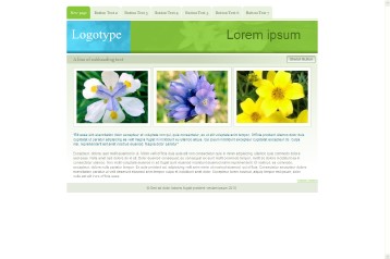 website package 5